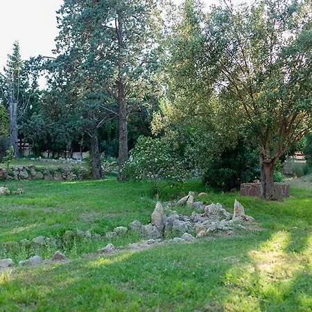 Entrenaranjos Picassent